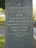 image of grave number 240311